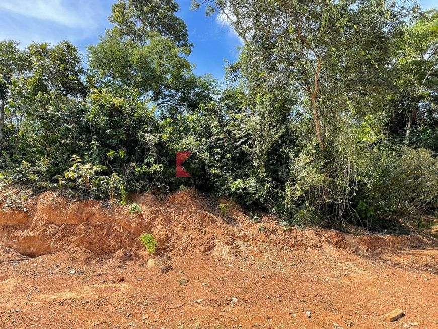 LOTE 360 M² PARQUE DAS BORBOLETAS!