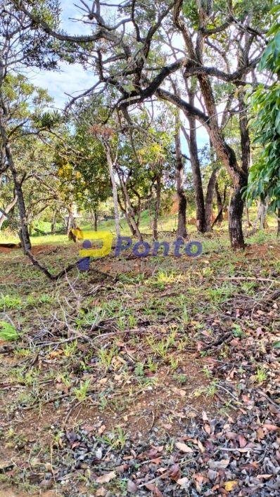 Lote Condominio Jardins da Lagoa