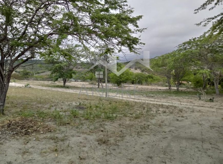 Terreno Rural para Venda em Bezerros, SITIO RIACHO VERDE