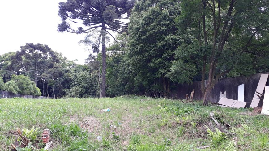 Terreno plano, seco e com 2 frentes