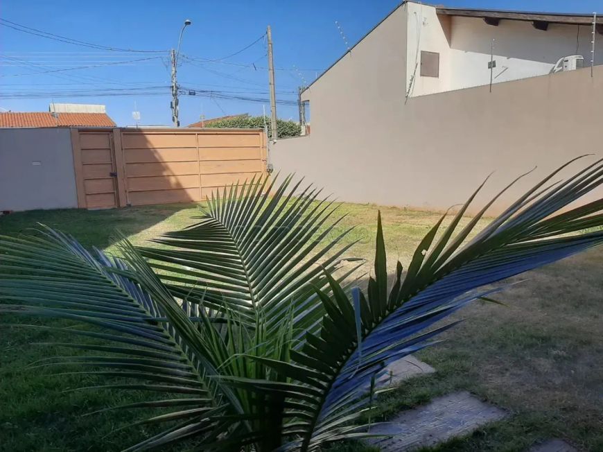 Terreno Padrão em Mirassol