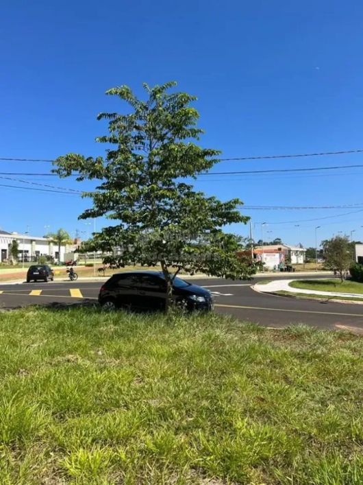 Terreno Venda Condominio Setlife I Mirassol-SP