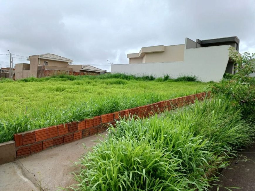 Terreno à venda, 253 m² por R$ 200.000,00 - Set Life I - Mirassol/SP