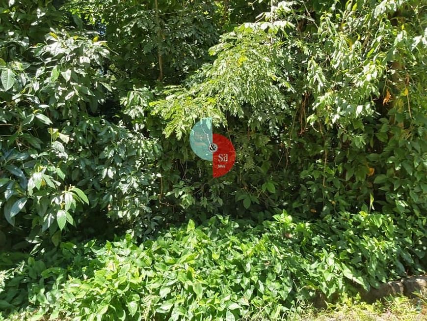Terreno à venda, Parque Silvestre, Guapimirim, RJ