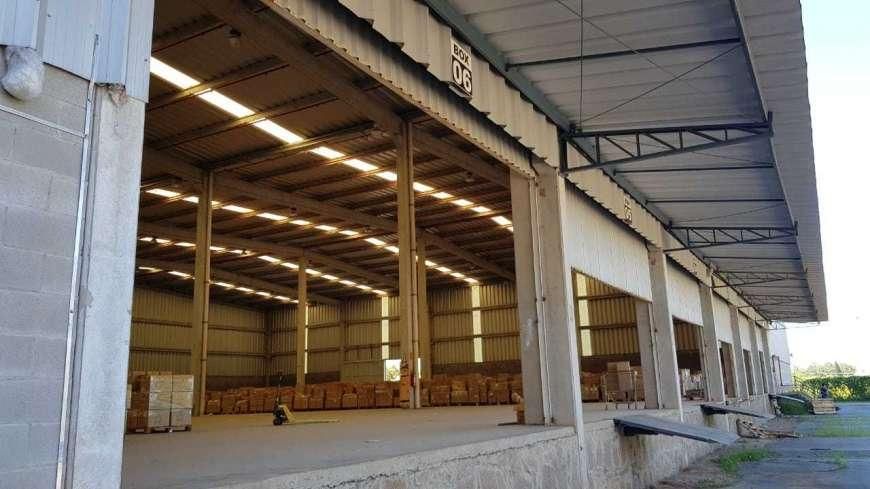 Galpão para alugar, 9961 m² por R$ 199.000,00/mês - Bom Jardim - Itupeva/SP