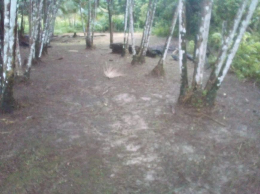 Terreno Baía do Sol Mosqueiro-Venda