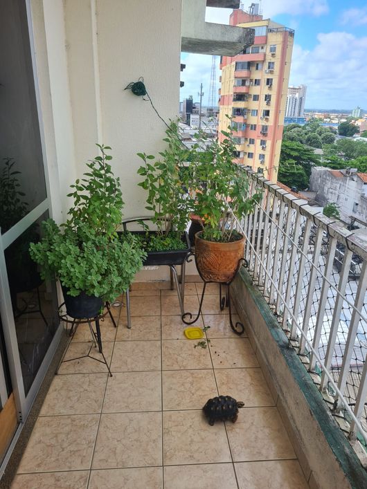 💎 Go Up soluções imobiliárias: ✨ Apartamento no Ed. Muiraquitã, Marco