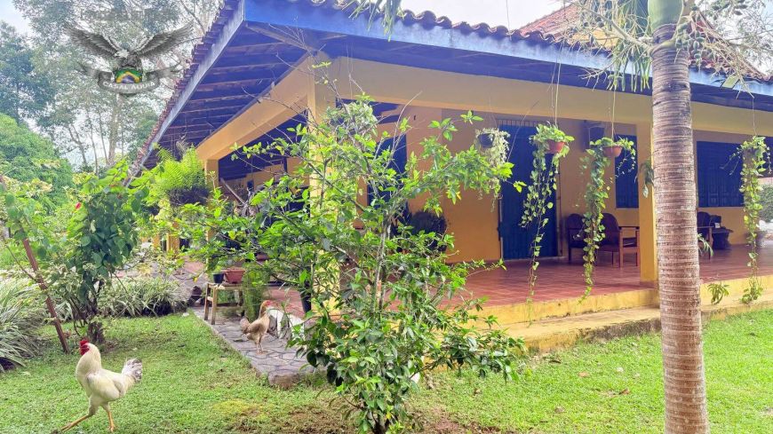 Sítio a venda Mosqueiro 4 quartos 2 suites PA