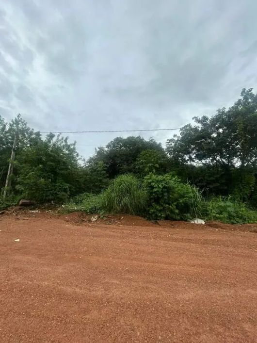 LOTE A VENDA NO SETOR INDUSTRIAL 512 SUL EM FRENTE AO PARQUE CESAMAR