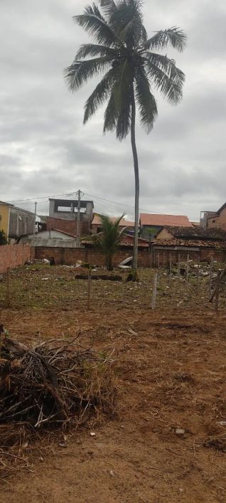 Lote para venda possui 240 m² em Porto de Sauípe - Entre Rios - BA frente a praia