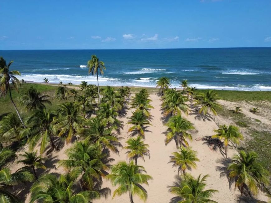 Excelente terreno pé de areia 7.800m 2 em Porto de Sauípe - Entre Rios - BA