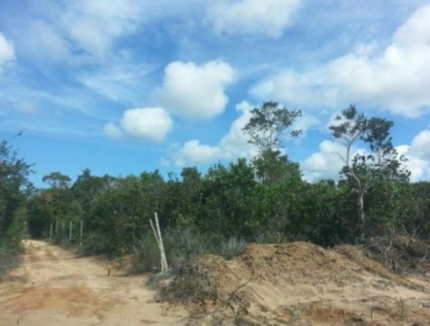 Excelente Terreno Rural em Entre Rios/BA
