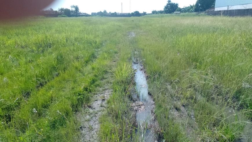 TERRENO NA RODOVIA AUGUSTO MONTENEGRO - 40.000M2