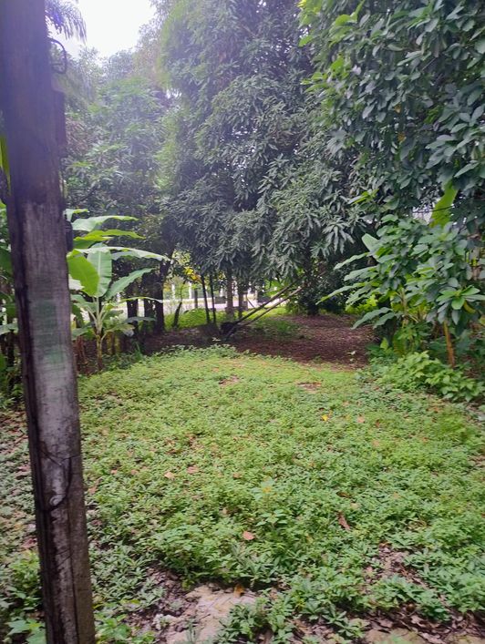 Imóvel para venda tem 2200 metros quadrados em Curió-Utinga - Belém - PA