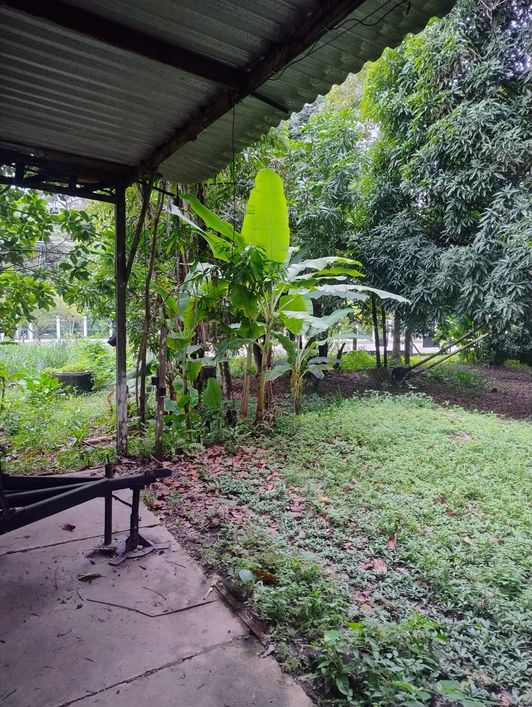 Imóvel para venda tem 2200 metros quadrados em Curió-Utinga - Belém - PA