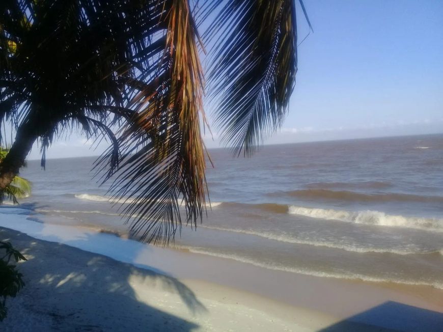 * Bar&amp;Restaurante em Coutijuba