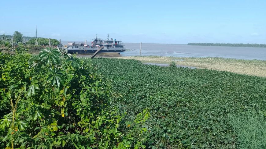 PORTO ARTHUR BERNARDES - 59.000M2
