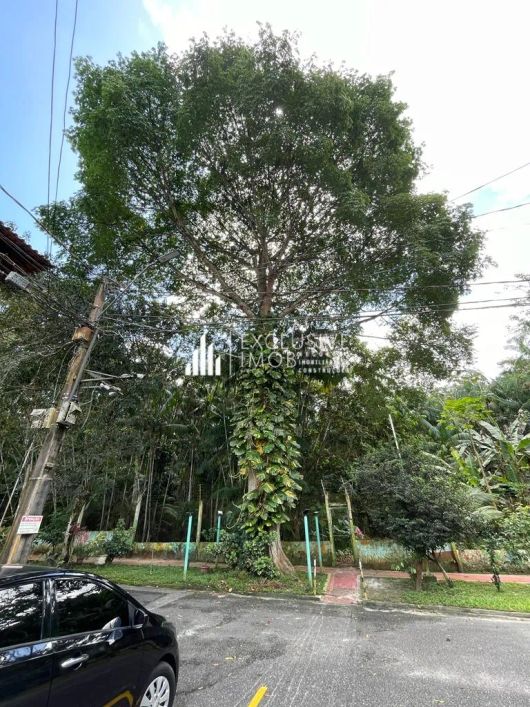 Imóvel para venda tem 200 metros quadrados com 1 quarto em Curió-Utinga - Belém - PA