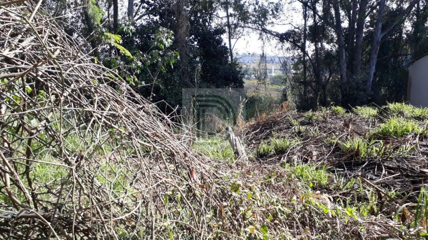 Oportunidade! Ótimo Terreno no Parque Ipê. prox.rodoanel