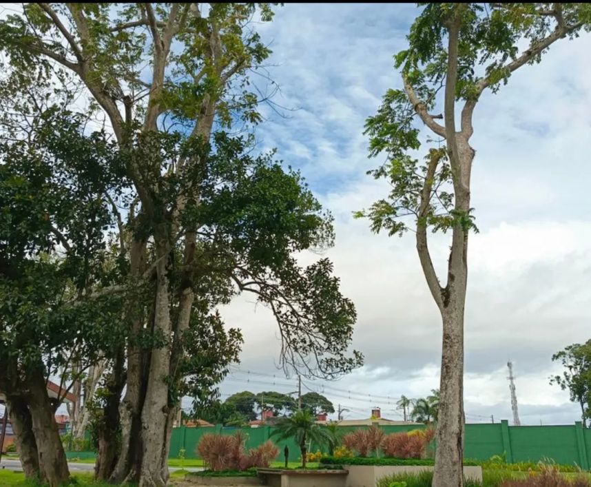 LOTE CONDOMÍNIO JARDINS DAS MANGUEIRAS - 280M2