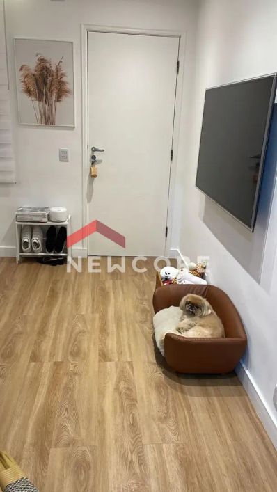 Apartamento em Rua Nossa Senhora Mãe dos Homens - Vila Progresso - Guarulhos/SP