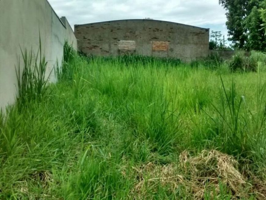 Terreno à venda , 280m², Nova campinas, Campinas - SP