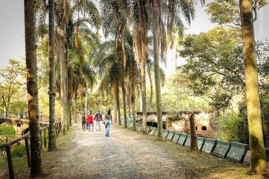 Sobrado à venda em Campinas, Swiss Park, com 3 suítes, com 309 m².